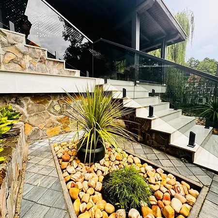 Apartment Ylly Aparts Brasov