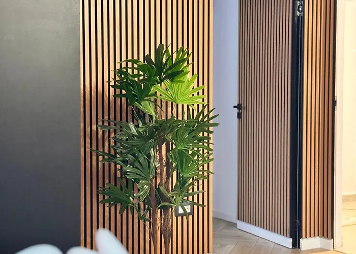 Ylly Aparts * Brasov