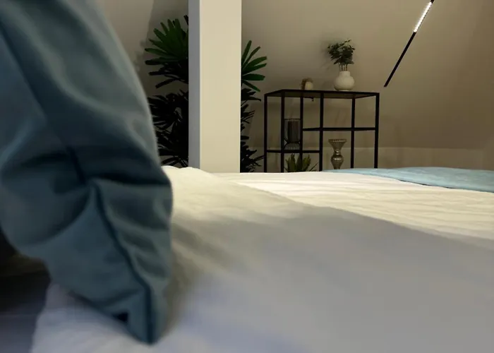 아파트 Ylly Aparts 브라쇼브